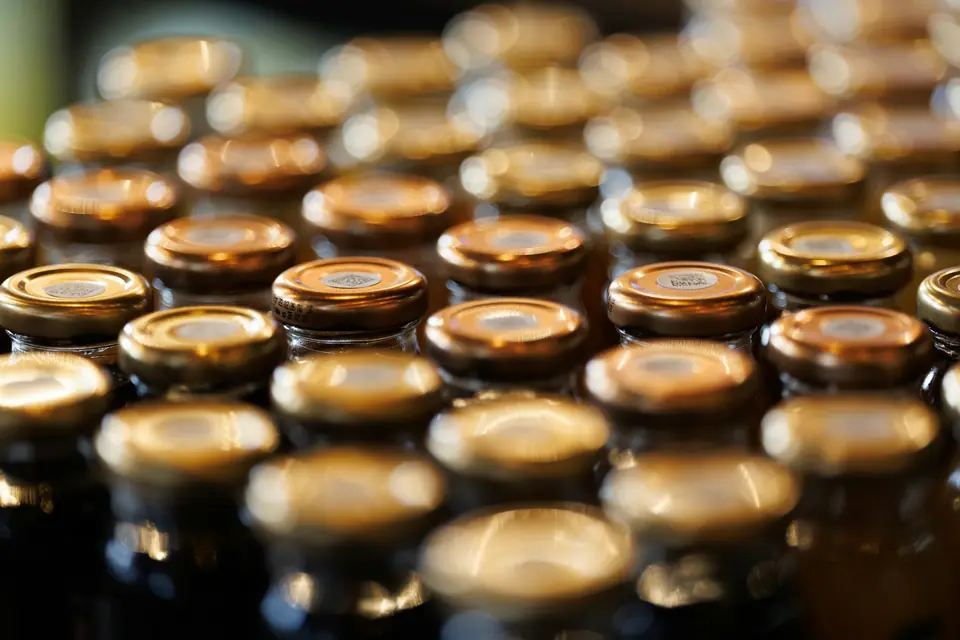 Rows of bottles on a beverage production line